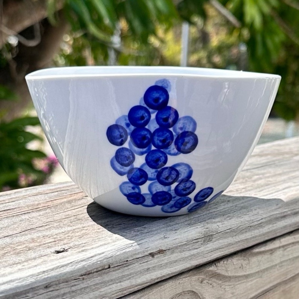 Crate and Barrel RIKA Soup Cereal Bowl White with Blue Dots